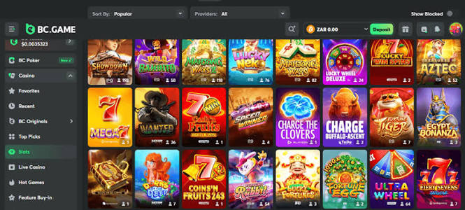 Understanding the BC.Game Login Process A Step-by-Step Guide -289810822