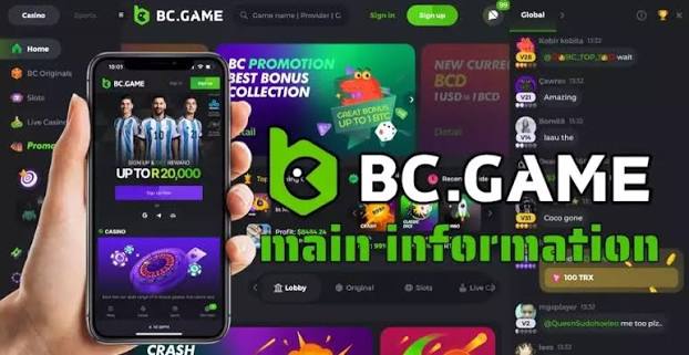 Understanding the BC.Game Login Process A Step-by-Step Guide -289810822